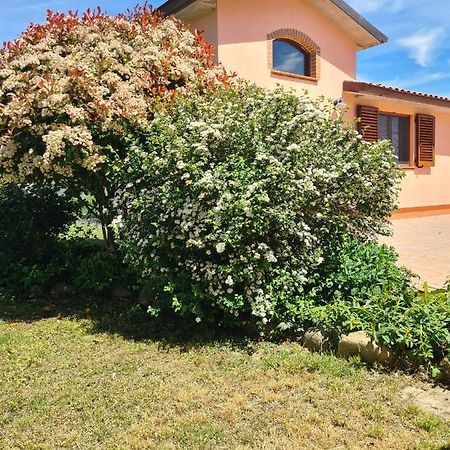 Montepulciano - La Casetta Del Pian Delle Noci Acquaviva  Zewnętrze zdjęcie