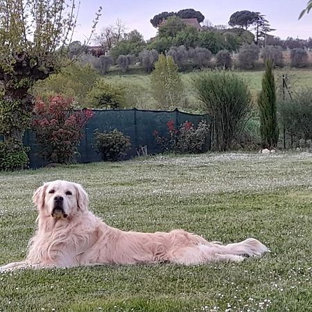 Montepulciano - La Casetta Del Pian Delle Noci Acquaviva  Zewnętrze zdjęcie