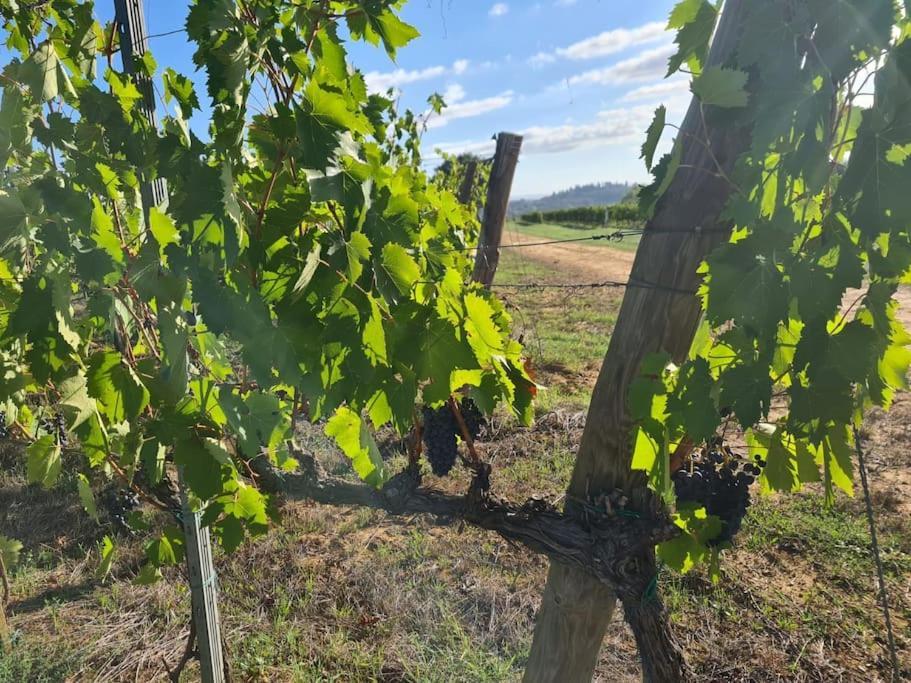 Montepulciano - La Casetta Del Pian Delle Noci Acquaviva  Zewnętrze zdjęcie