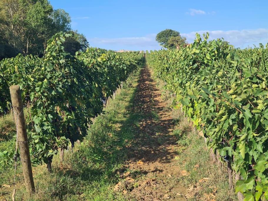 Montepulciano - La Casetta Del Pian Delle Noci Acquaviva  Zewnętrze zdjęcie