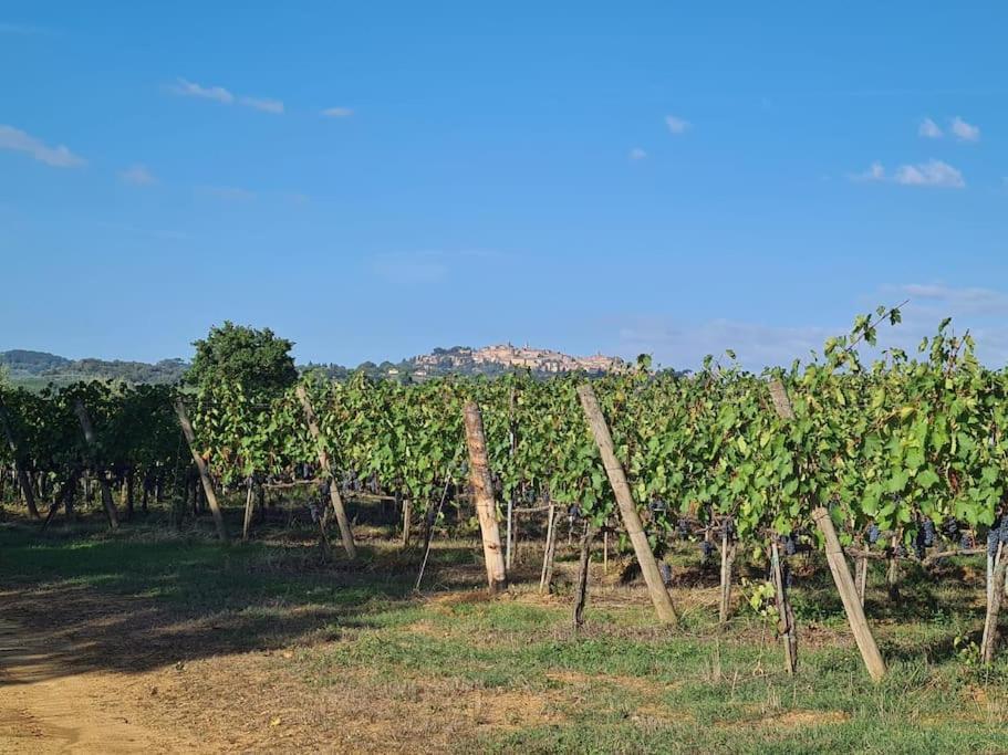 Montepulciano - La Casetta Del Pian Delle Noci Acquaviva  Zewnętrze zdjęcie