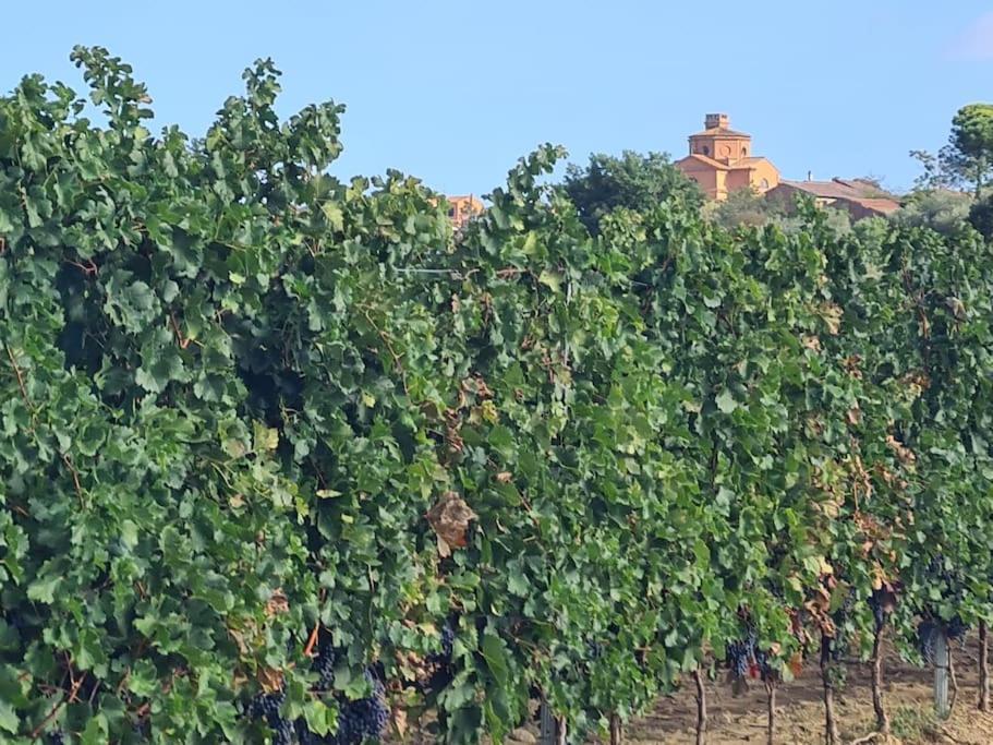 Montepulciano - La Casetta Del Pian Delle Noci Acquaviva  Zewnętrze zdjęcie