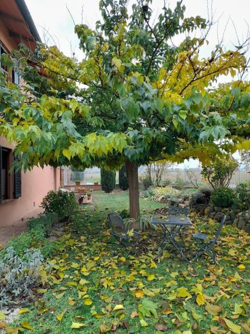 Montepulciano - La Casetta Del Pian Delle Noci Acquaviva  Zewnętrze zdjęcie