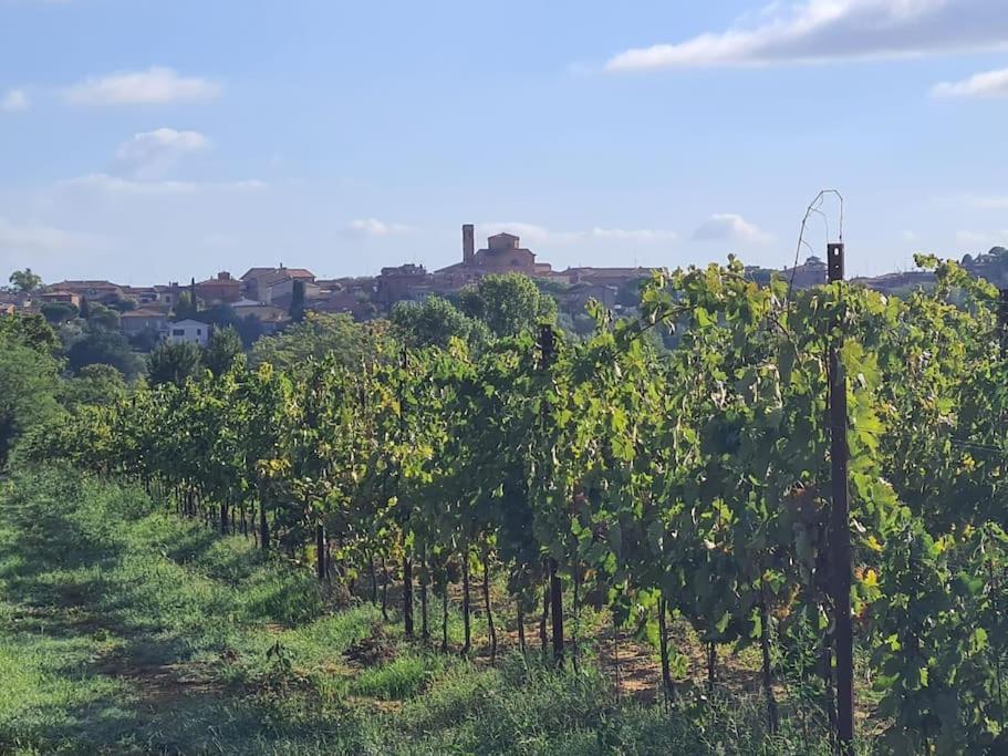 Montepulciano - La Casetta Del Pian Delle Noci Acquaviva  Zewnętrze zdjęcie