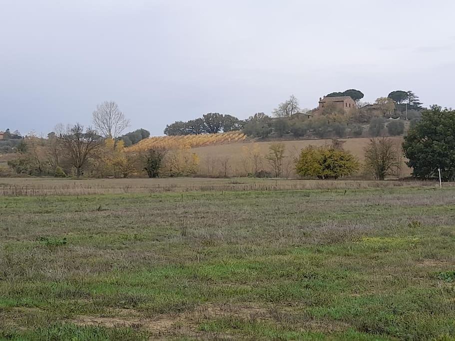 Montepulciano - La Casetta Del Pian Delle Noci Acquaviva  Zewnętrze zdjęcie