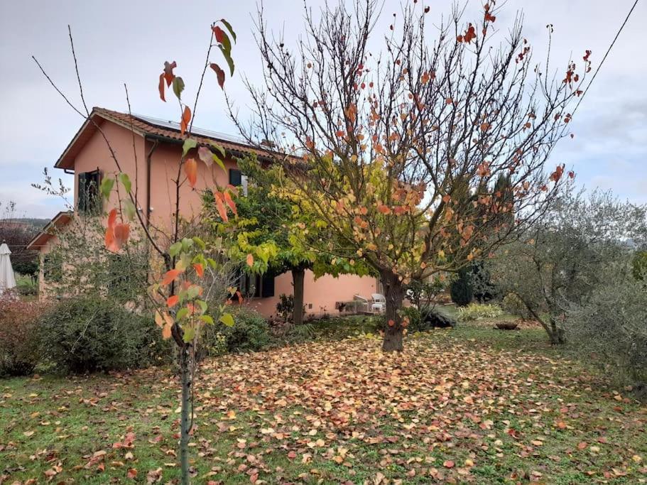 Montepulciano - La Casetta Del Pian Delle Noci Acquaviva  Zewnętrze zdjęcie