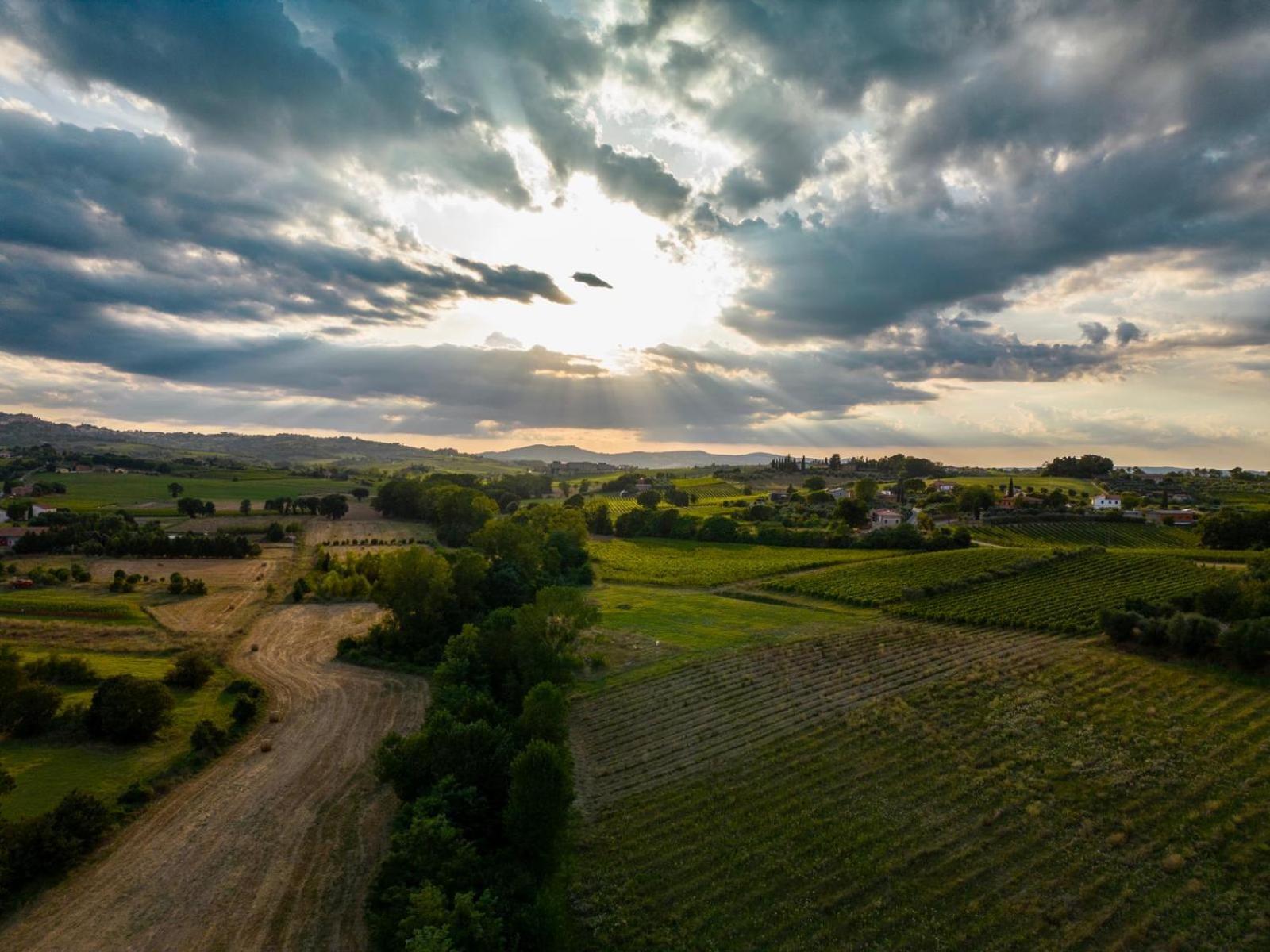 Montepulciano - La Casetta Del Pian Delle Noci Acquaviva  Zewnętrze zdjęcie