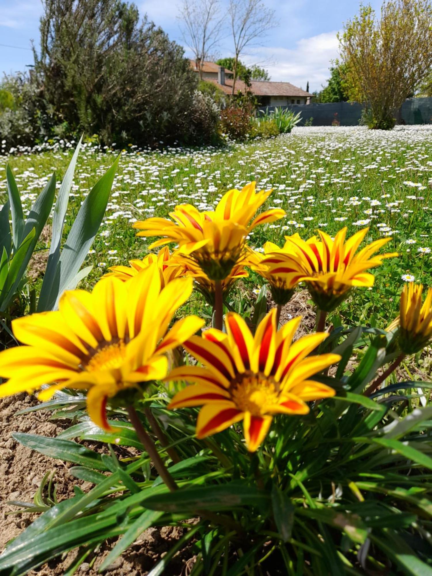 Montepulciano - La Casetta Del Pian Delle Noci Acquaviva  Zewnętrze zdjęcie