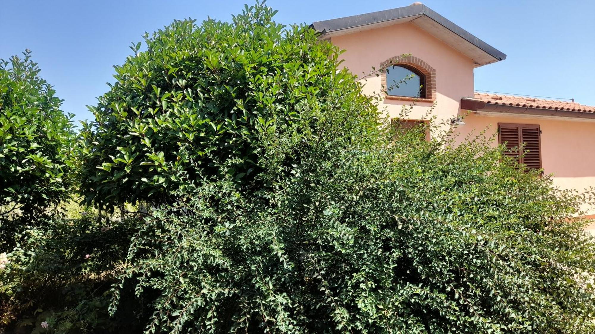 Montepulciano - La Casetta Del Pian Delle Noci Acquaviva  Zewnętrze zdjęcie