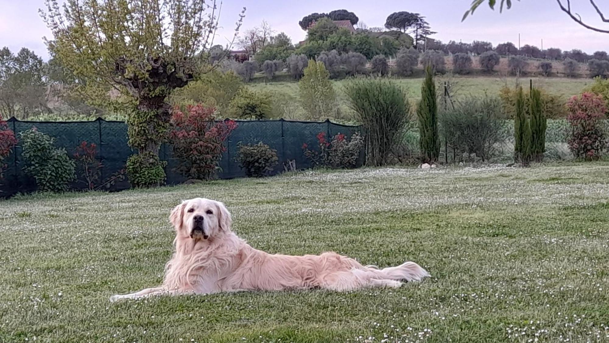 Montepulciano - La Casetta Del Pian Delle Noci Acquaviva  Zewnętrze zdjęcie